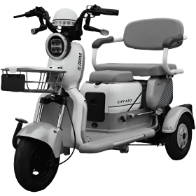 Электротрицикл пассажирский AVM City 650