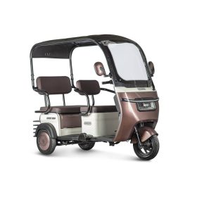 Электротрицикл Rutrike Gelbert Sarin 1000, коричнево-белый