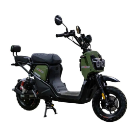 Электроскутер AVM Zoomer зеленый