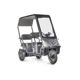 Электротрицикл Wanshida Nipla 500 60V 1000Вт, черно-серый