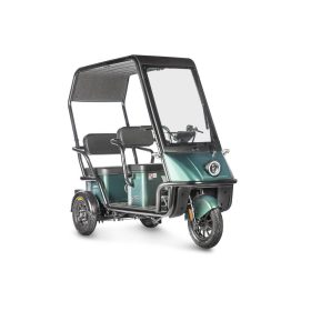 Электротрицикл Wanshida Nipla 500 60V 1000Вт, черно-зеленый