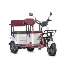 Электротрицикл Wanshida U1-X 800, белый