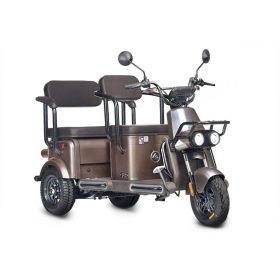 Электротрицикл Wanshida U1-X 800, коричневый